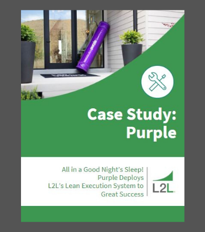 purple innovation inc case study